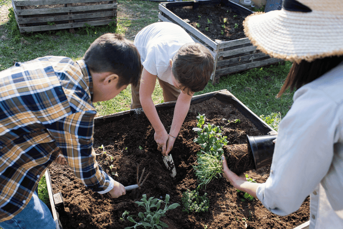 Family planting seeds in the garden on a sunny day