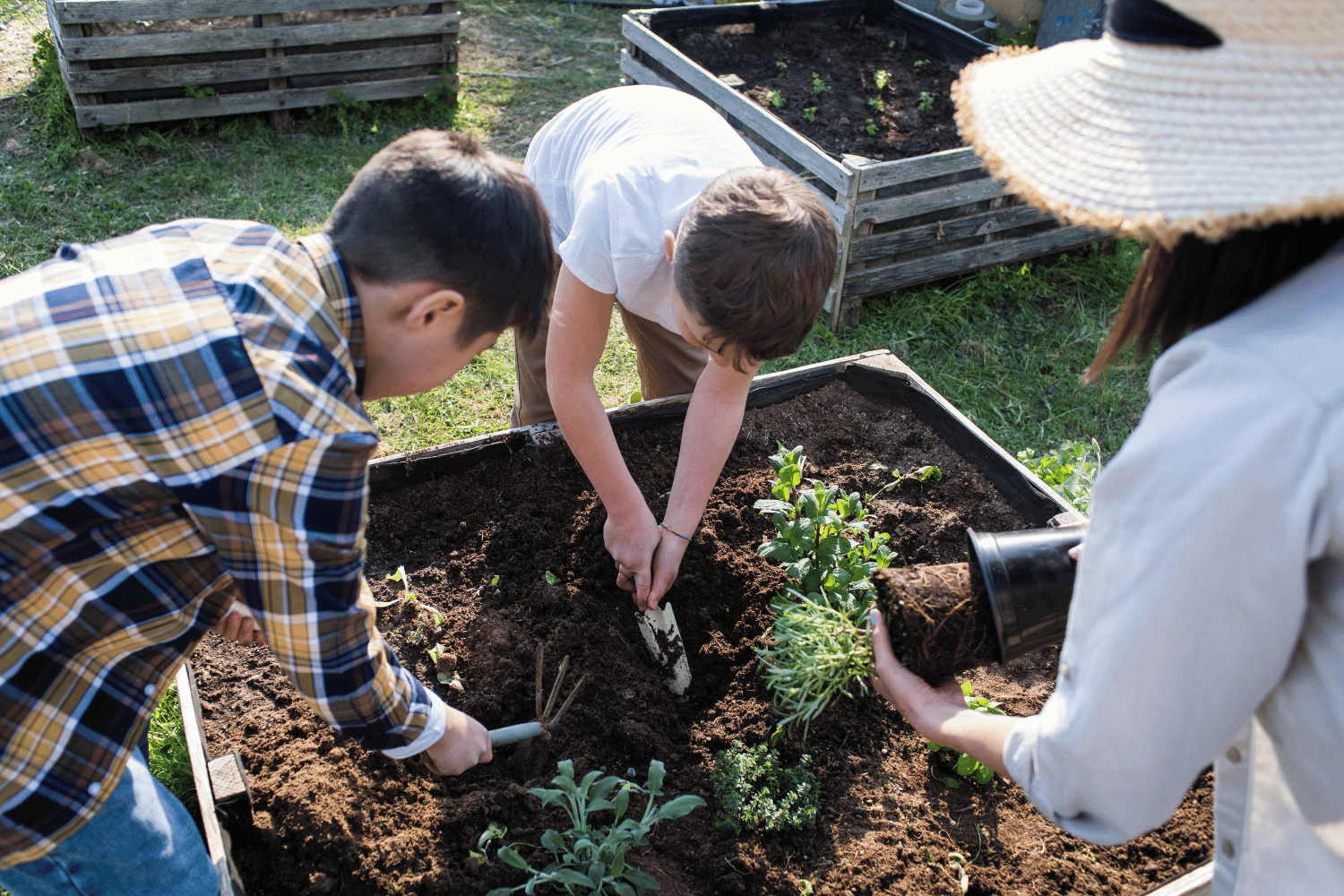 Family planting seeds in the garden on a sunny day