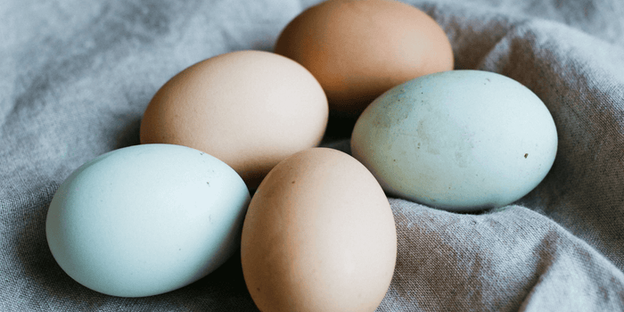 Fresh free range backyard chicken eggs on a kitchen counter