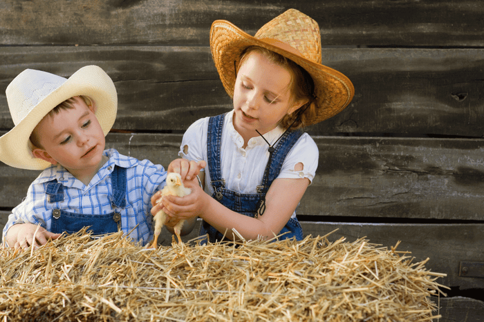 Kids wearing a cowboy hat playing with a small chick