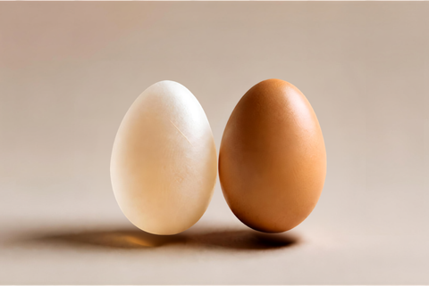 Soft shelled vs hard shelled chicken eggs - lacking calcium