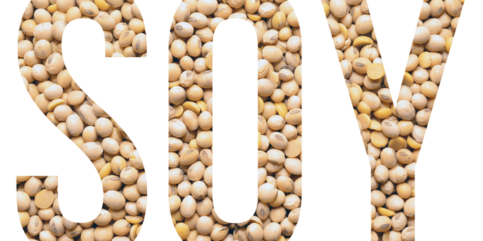 Soy as Protein Source in Chicken Feed Formulas