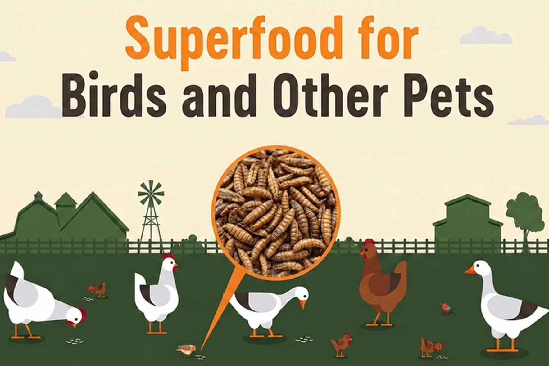 Supreme Grubs Superfood for birds and other pets
