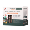Supreme Grubs Black Soldier Fly Chicken Treats 5 Pound Box