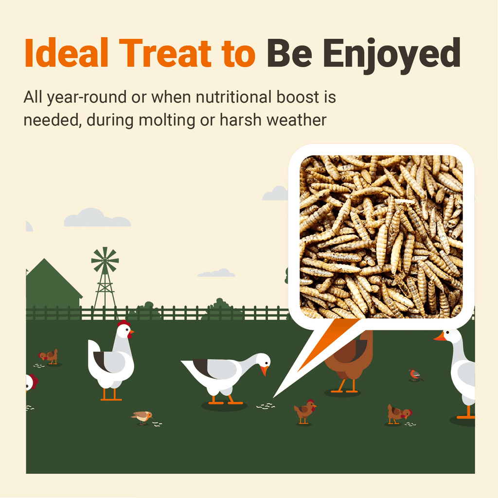 thumbnail image 2 of Whole Dried Black Soldier Fly Larvae - PBS Animal Health 2 of 13