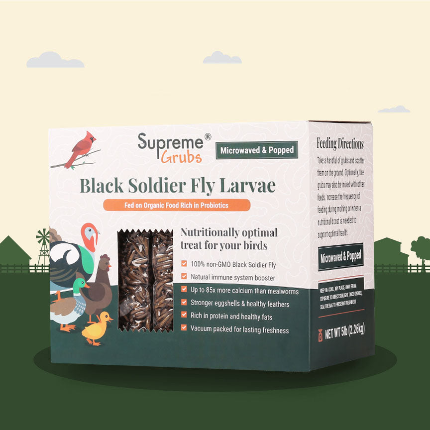 Supreme Grubs Black Soldier Fly Chicken and Bird Insect Treats