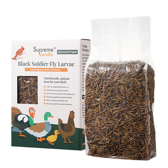 Supreme Grubs Dried Black Soldier Fly Larvae Bird and Chicken Treats Box and Vacuum Pack
